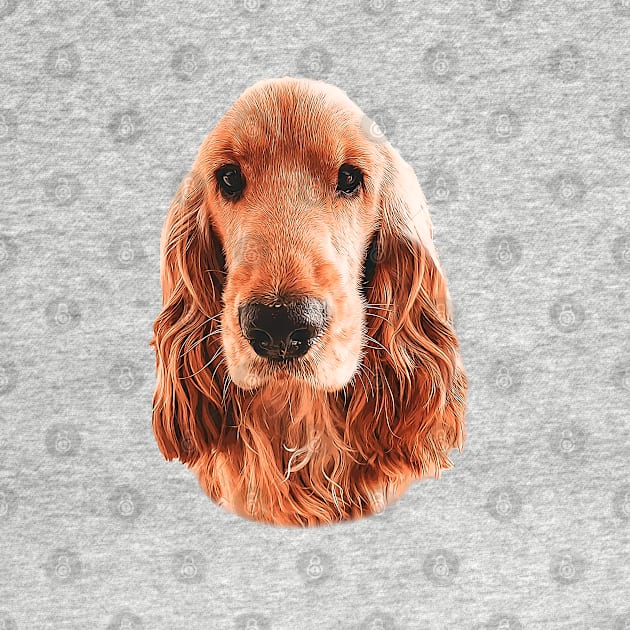 Golden English Cocker Spaniel by ElegantCat